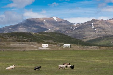 İzlanda kırsalında tatil kulübeleri