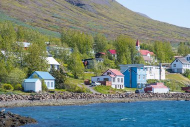 Doğu İzlanda'daki Faskrudsfjordur Kasabası