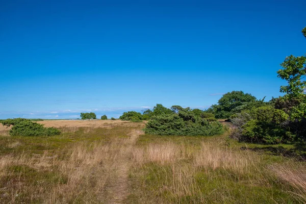 Beautiful nature landscape on Ulvshale on island of Moen in Denmark — Stock Photo, Image