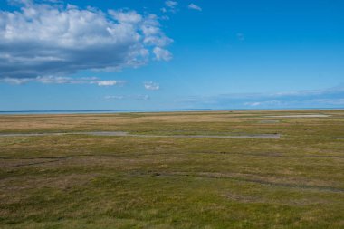Danimarka'nın Nyord adasında tuz-çayır