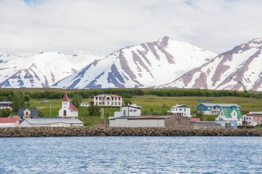 Kuzey İzlanda 'daki Hrisey adasındaki köy.