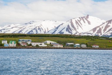 Kuzey İzlanda 'daki Hrisey adasındaki köy.