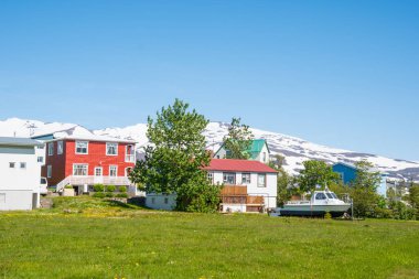 Güneşli bir yaz gününde İzlanda 'nın Hrisey köyü