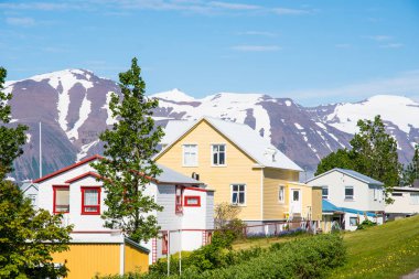 Güneşli bir yaz gününde İzlanda 'nın Hrisey köyü