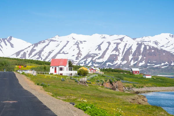 在一个阳光灿烂的夏日 冰岛的Hrisey村 — 图库照片
