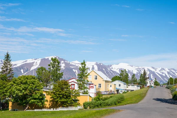 晴れた夏の日にアイスランドのハリーの村 — ストック写真