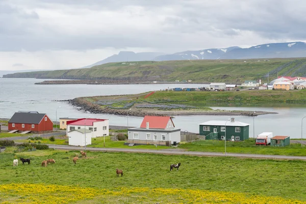 Staden Blonduos Norra Island — Stockfoto