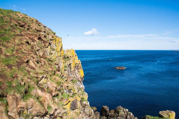 Hafnarholmi Klippe Borgarfjordur Eystri Osten Islands — Stockfoto