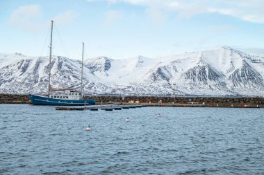 Hrisey İzlanda - 1 Şubat. 2025: Aztek yelkenli kadın limanda