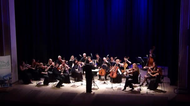 Dnipro Ukraine Juni 2018 Vor Saisons Chamber Orchestra Chefdirigent Dmitri — Stockvideo