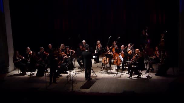 Dnipro Ukraine Octobre 2018 Les Membres Quatre Saisons Chamber Orchestra — Video