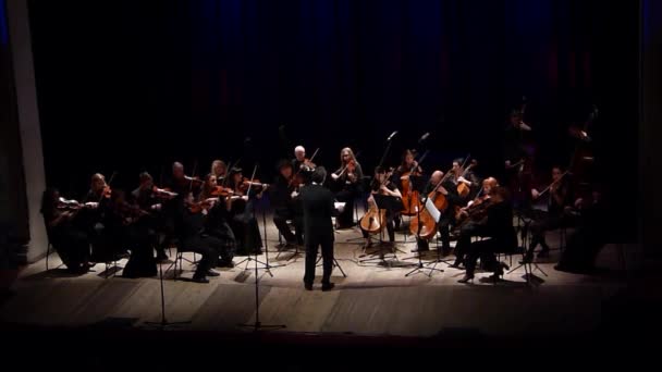 Dnipro Ucrania Octubre 2018 Miembros Orquesta Cámara Cuatro Estaciones Director — Vídeo de stock