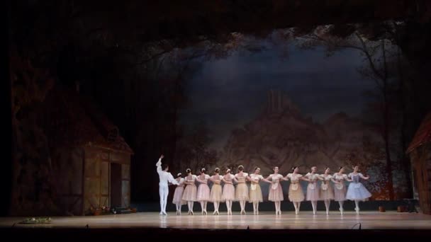 Dnipro Ucrania Noviembre 2018 Ballet Clásico Giselle Adolphe Adam Interpretado — Vídeos de Stock