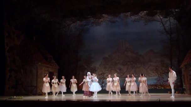 Dnipro Ucrania Noviembre 2018 Ballet Clásico Giselle Adolphe Adam Interpretado — Vídeo de stock