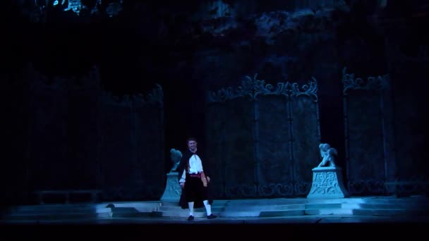 Dnipro Oekraïne Oktober 2018 Het Huwelijk Van Figaro Opera Uitgevoerd — Stockvideo