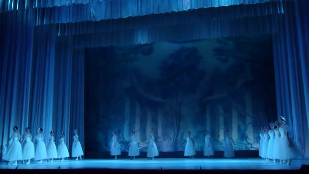 Dnipro Ucrania Noviembre 2018 Ballet Clásico Sylphs Con Música Frederic — Vídeos de Stock