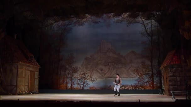 Dnipro Oekraïne November 2018 Klassiek Ballet Giselle Door Adolphe Adam — Stockvideo