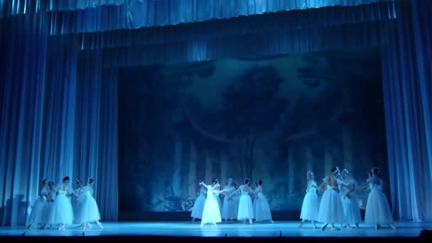 Dnipro Ucrania Noviembre 2018 Ballet Clásico Sylphs Con Música Frederic — Vídeos de Stock