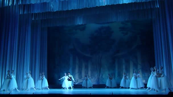 Dnipro Ucrania Noviembre 2018 Ballet Clásico Sylphs Con Música Frederic — Vídeo de stock