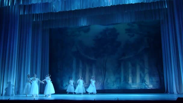 Dnipro Ukrayna Kasım 2018 Klasik Bale Sylphs Frederic Chopin Müzik — Stok video