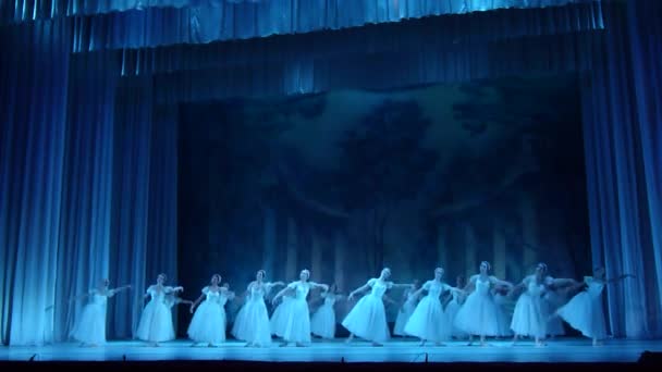 Dnipro Ucrania Noviembre 2018 Ballet Clásico Sylphs Con Música Frederic — Vídeo de stock