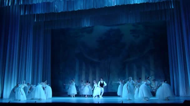 Dnipro Ucrania Noviembre 2018 Ballet Clásico Sylphs Con Música Frederic — Vídeos de Stock