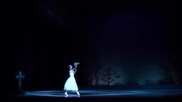 Dnipro Ukrayna Kasım 2018 Klasik Bale Giselle Adolphe Adam Tarafından — Stok video