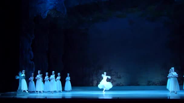 ドニプロ オペラ バレエ劇場のメンバーによって実行されるドニエプル ウクライナ 2018 クラシック バレエでアドルフ アダン ジゼル — ストック動画