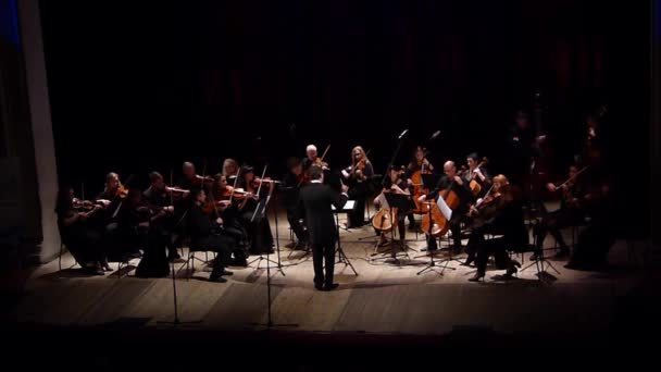 Dnipro Ukraine Oktober 2018 Mitglieder Des Kammerorchesters Der Vier Jahreszeiten — Stockvideo
