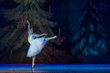 Dnipro, Ukrayna - 15 Şubat 2019: Dnipro Opera ve bale Tiyatrosu üyeleri tarafından gerçekleştirilen Fındıkkıran Balesi.