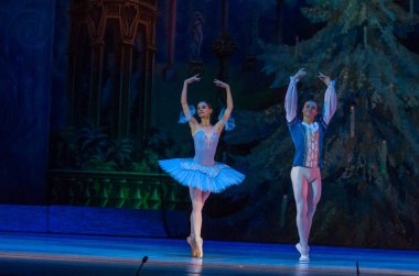 Dnipro, Ukrayna - 15 Şubat 2019: Dnipro Opera ve bale Tiyatrosu üyeleri tarafından gerçekleştirilen Fındıkkıran Balesi.