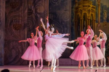 Dnipro, Ukrayna - 15 Şubat 2019: Dnipro Opera ve bale Tiyatrosu üyeleri tarafından gerçekleştirilen Fındıkkıran Balesi.