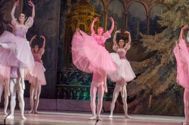 Dnipro, Ukrayna - 15 Şubat 2019: Dnipro Opera ve bale Tiyatrosu üyeleri tarafından gerçekleştirilen Fındıkkıran Balesi.