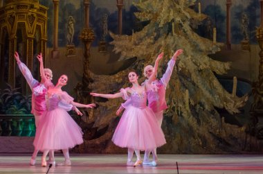 Dnipro, Ukrayna - 15 Şubat 2019: Dnipro Opera ve bale Tiyatrosu üyeleri tarafından gerçekleştirilen Fındıkkıran Balesi.