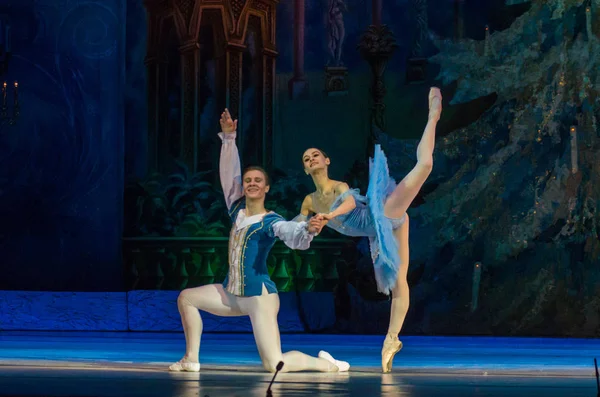 Dnipro Ukraine Février 2019 Ballet Casse Noisette Interprété Par Des — Photo