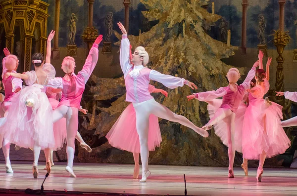 Dnipro Ucraina Febbraio 2019 Balletto Schiaccianoci Eseguito Dai Membri Del — Foto Stock