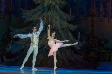 Dnipro, Ukrayna - 15 Şubat 2019: Dnipro Opera ve bale Tiyatrosu üyeleri tarafından gerçekleştirilen Fındıkkıran Balesi.