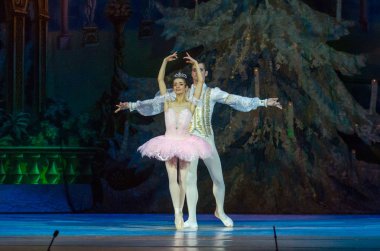 Dnipro, Ukrayna - 15 Şubat 2019: Dnipro Opera ve bale Tiyatrosu üyeleri tarafından gerçekleştirilen Fındıkkıran Balesi.