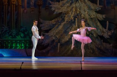Dnipro, Ukrayna - 15 Şubat 2019: Dnipro Opera ve bale Tiyatrosu üyeleri tarafından gerçekleştirilen Fındıkkıran Balesi.