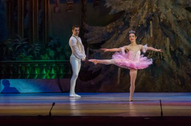 Dnipro, Ukrayna - 15 Şubat 2019: Dnipro Opera ve bale Tiyatrosu üyeleri tarafından gerçekleştirilen Fındıkkıran Balesi.