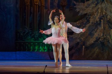Dnipro, Ukrayna - 15 Şubat 2019: Dnipro Opera ve bale Tiyatrosu üyeleri tarafından gerçekleştirilen Fındıkkıran Balesi.