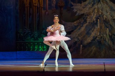 Dnipro, Ukrayna - 15 Şubat 2019: Dnipro Opera ve bale Tiyatrosu üyeleri tarafından gerçekleştirilen Fındıkkıran Balesi.