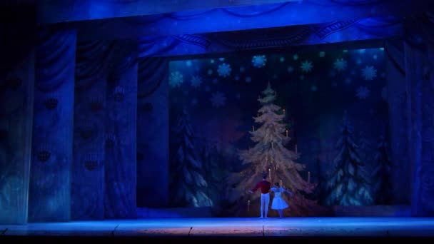 Dnipro Ukraine Februarie 2019 Balet Spărgător Nuci Interpretat Membrii Teatrului — Videoclip de stoc
