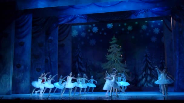 Dněpr Ukrajina Února 2019 Balet Louskáček Prováděné Dněpr Divadlo Opery — Stock video
