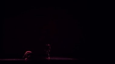 Dnipro, Ukrayna - 17 Kasım 2018: Ulusal Bale Dnipro Devlet Opera ve Bale gösterisinde üyeleri tarafından gerçekleştirilen gece bale çocuklarının.