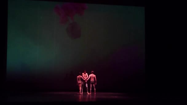 乌克兰第聂伯罗 2018年11月17日 国家芭蕾舞团成员在第聂伯罗国家歌剧院和芭蕾剧院表演的夜舞儿童 — 图库视频影像