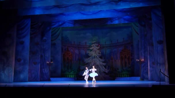 Dnipro Ucrania Febrero 2019 Ballet Cascanueces Interpretado Por Miembros Del — Vídeo de stock