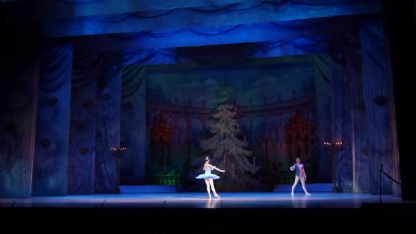 Dnipro Ucrania Febrero 2019 Ballet Cascanueces Interpretado Por Miembros Del — Vídeo de stock