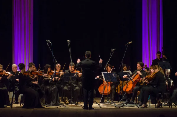 FOUR SEASONS Chamber Orchestra — Stock Photo, Image