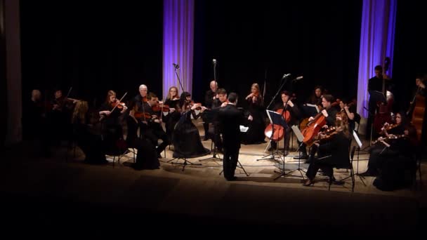 Dnipro Ukraine March 2019 Neljä Seasons Chamber Orchestra Pääkapellimestari Dmitry — kuvapankkivideo